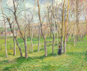 Prato a Bazincourt, 1885